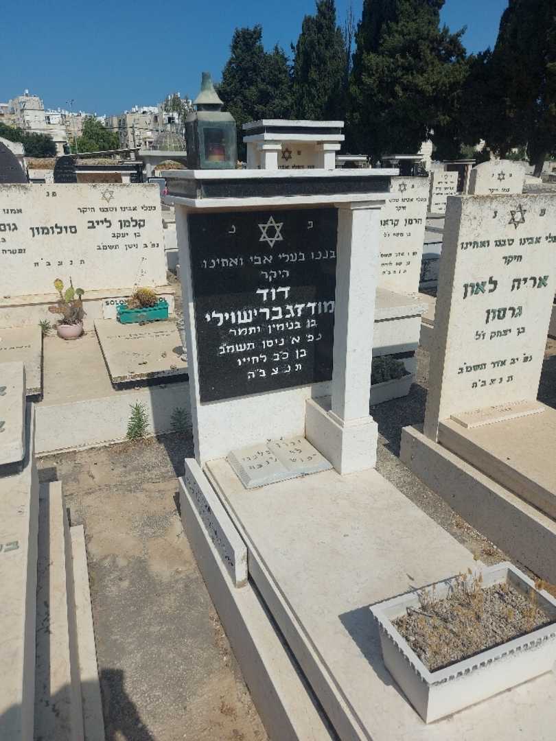 קברו של דוד מודזגבריאשוילי. תמונה 1