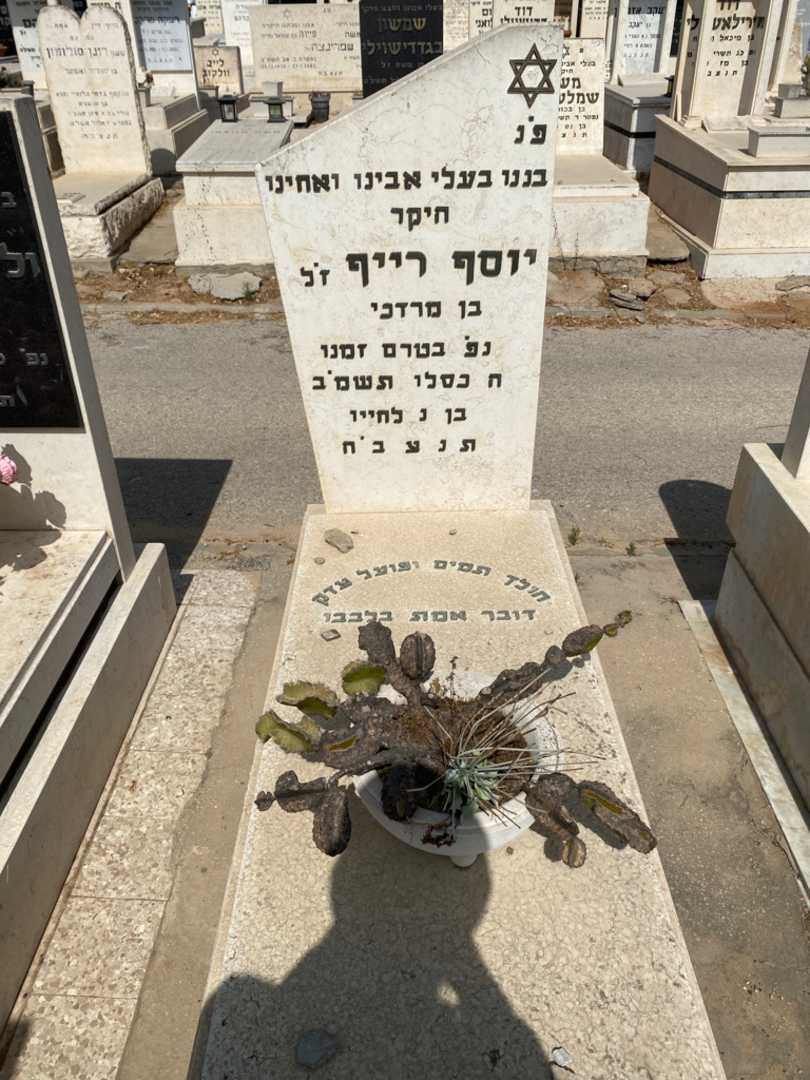 קברו של יוסף רייף. תמונה 1