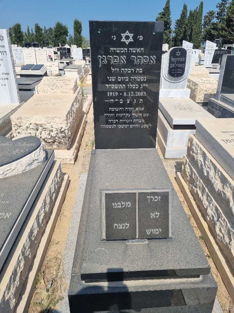 קברו של אסתר איפרגן. תמונה 1