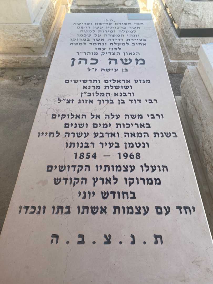 קברו של משה כהן. תמונה 1