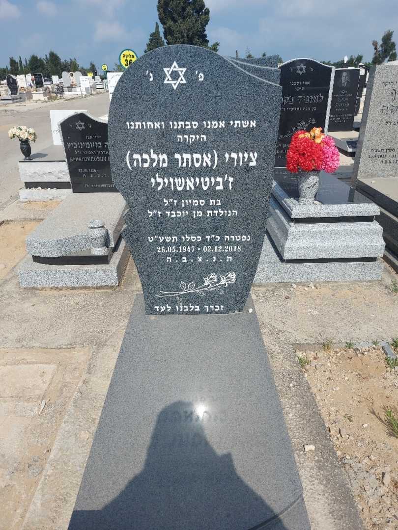 קברו של ציורי "אסתר מלכה" ז'ביטיאשוילי. תמונה 1