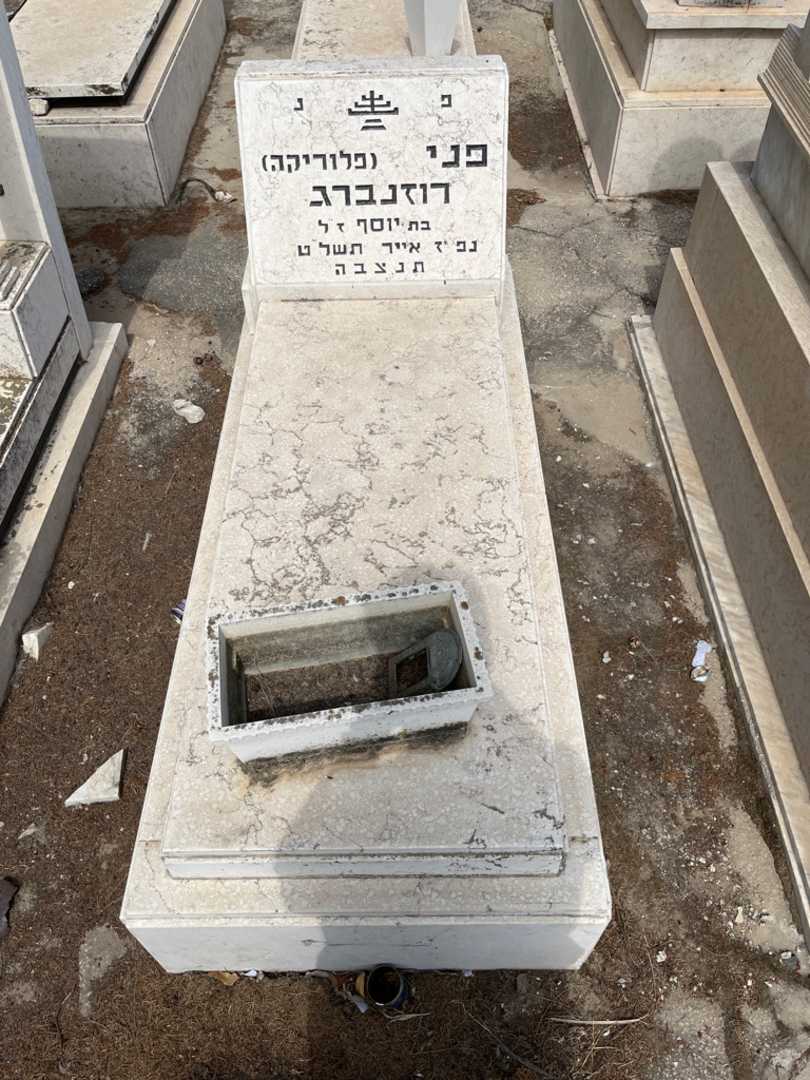 קברו של פני "פלוריקה" רוזנברג. תמונה 1