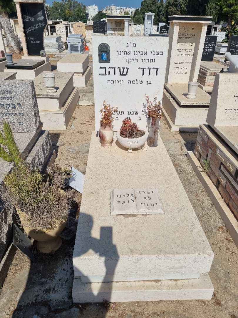 קברו של רבקה שהב. תמונה 1