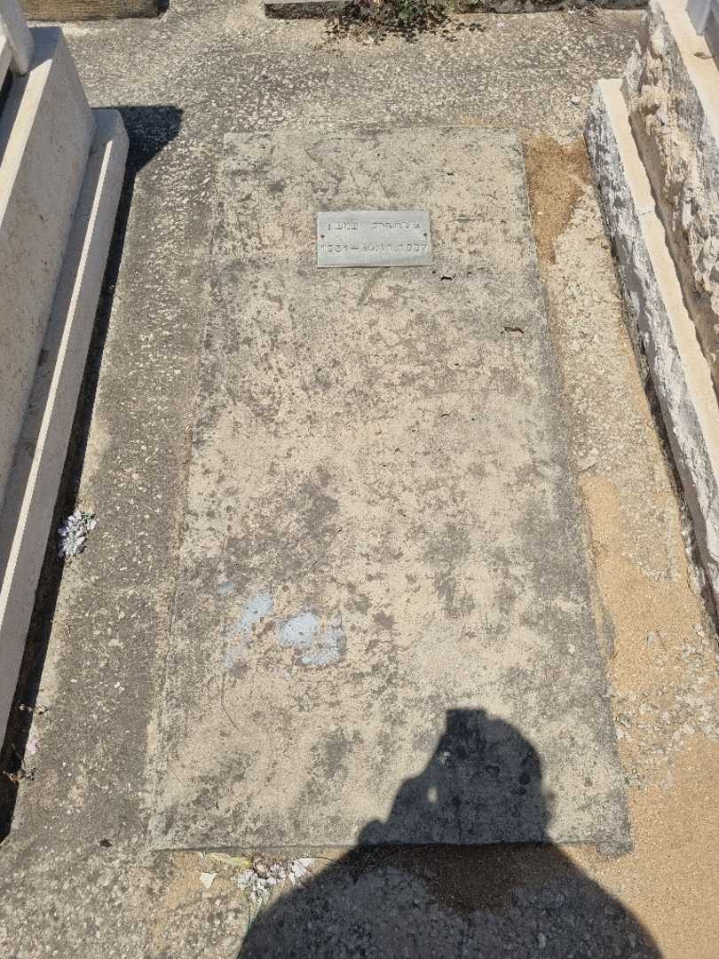 קברו של שמעון גולדנברג. תמונה 1