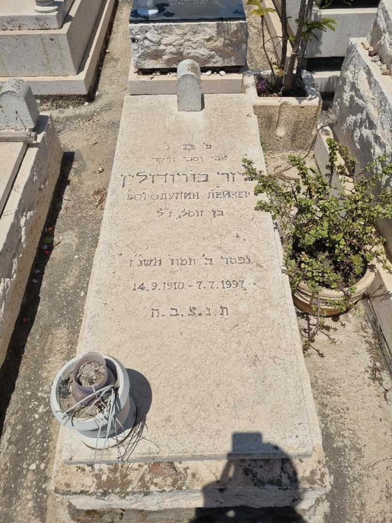 קברו של ליזר בורודולין. תמונה 1