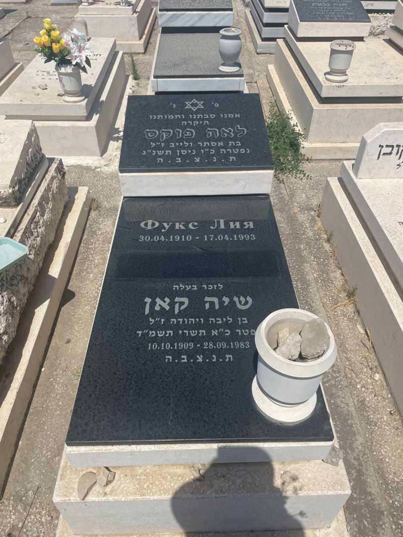 קברו של לאה פוקס. תמונה 1
