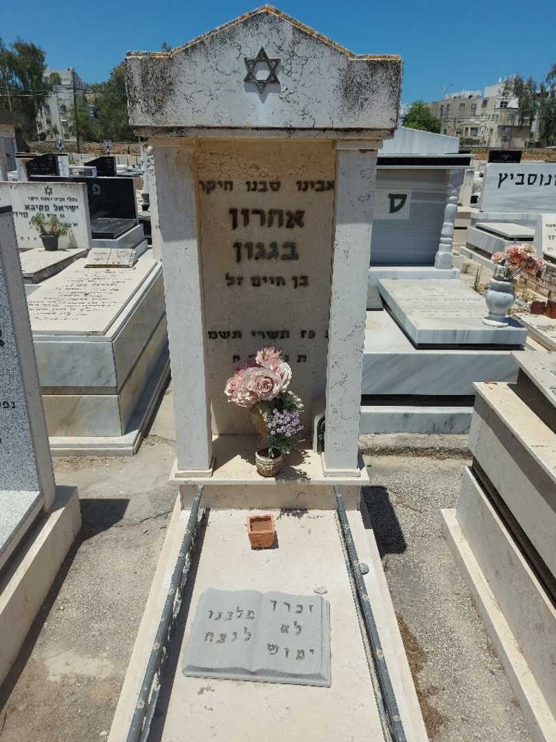 קברו של אהרון בגגון. תמונה 1