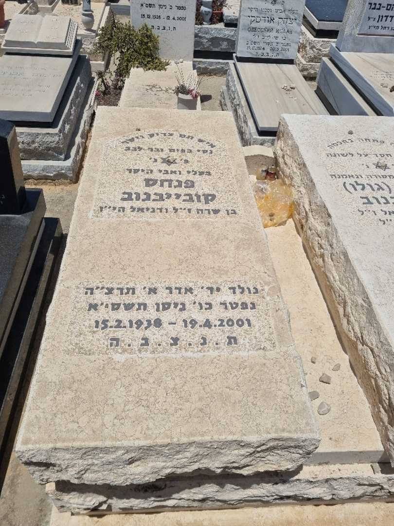 קברו של פינחס קובייבנוב. תמונה 1