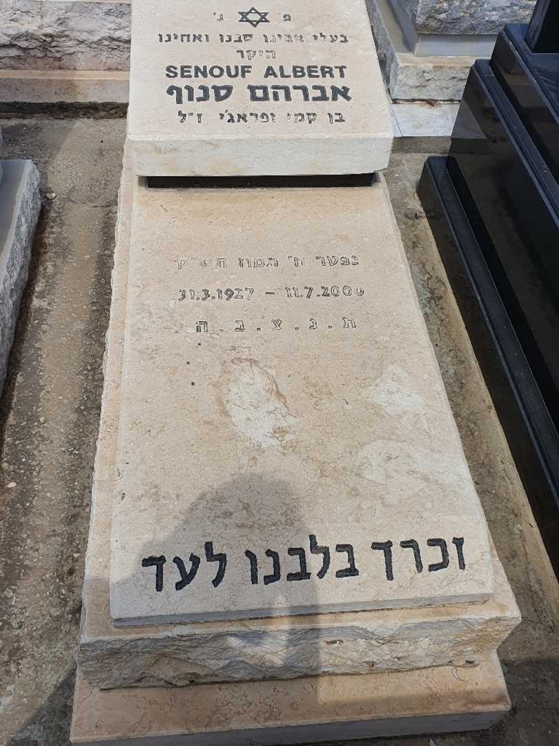 קברו של אברהם סנוף. תמונה 1