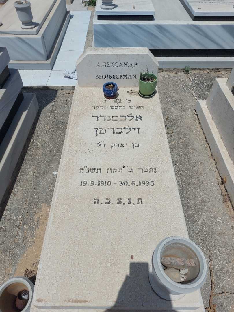 קברו של אלכסנדר זילברמן. תמונה 1