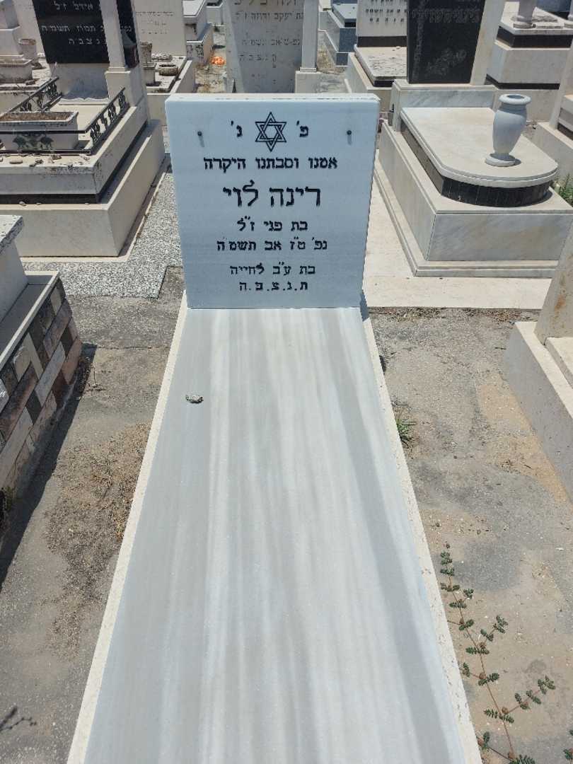קברו של רינה לוי. תמונה 1