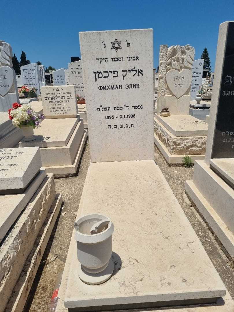 קברו של אליק פיכמן. תמונה 1
