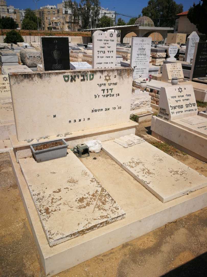 קברו של דוד בן לזר טוביאס. תמונה 1