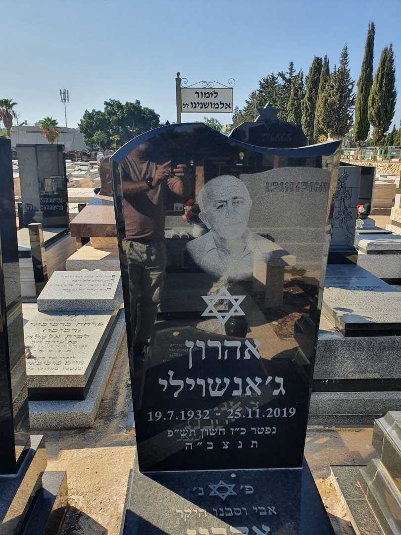 קברו של ארון ז'נואשוילי. תמונה 2