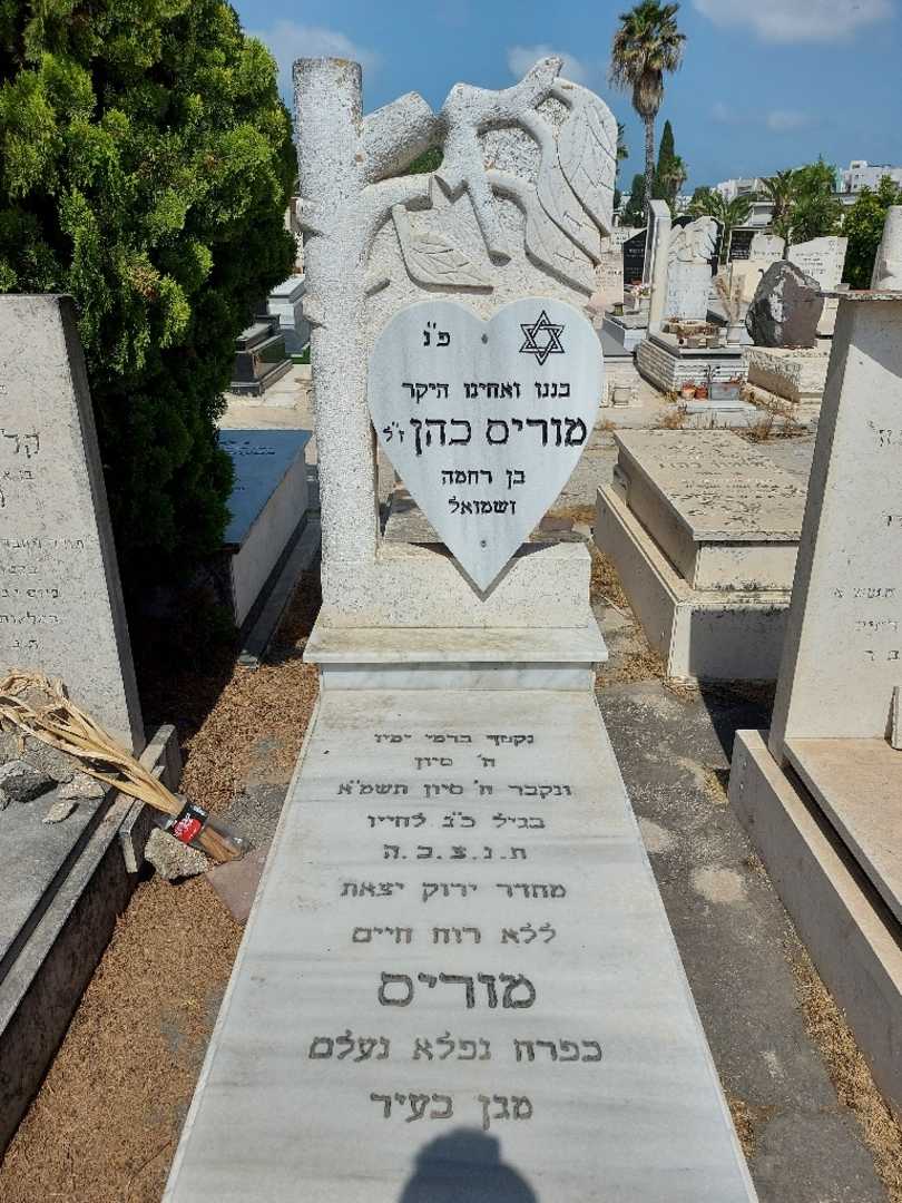 קברו של מוריס כהן. תמונה 1