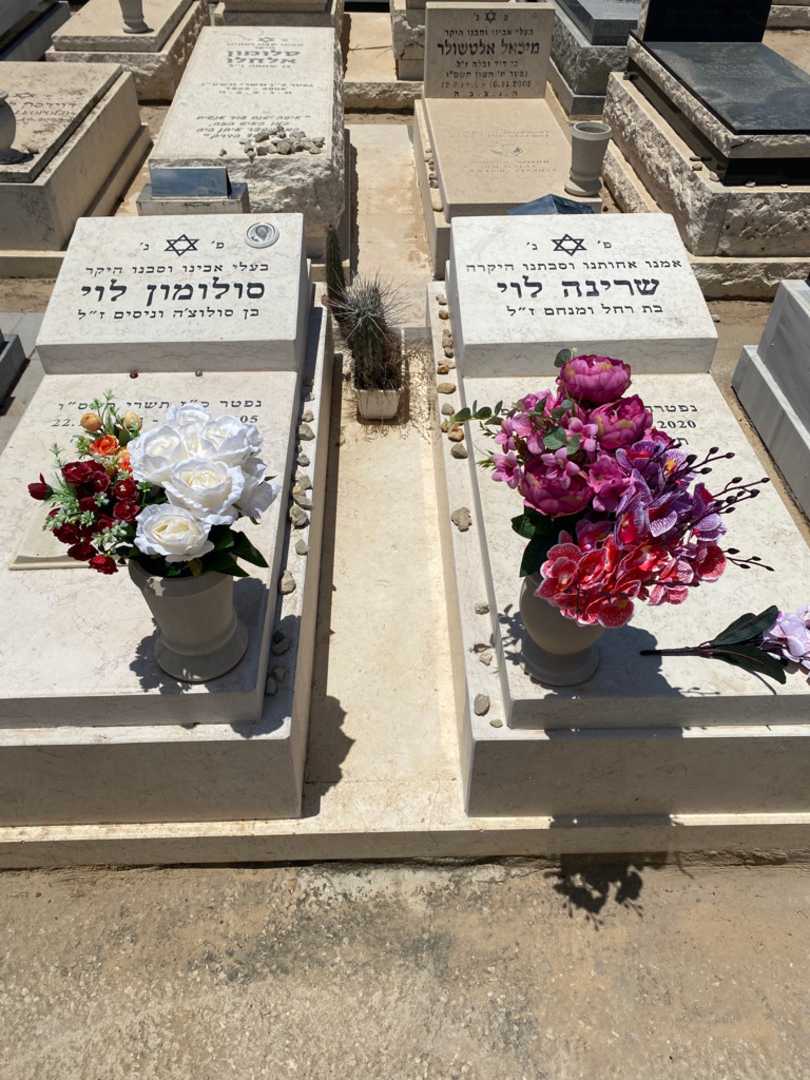 קברו של שרינה לוי. תמונה 1