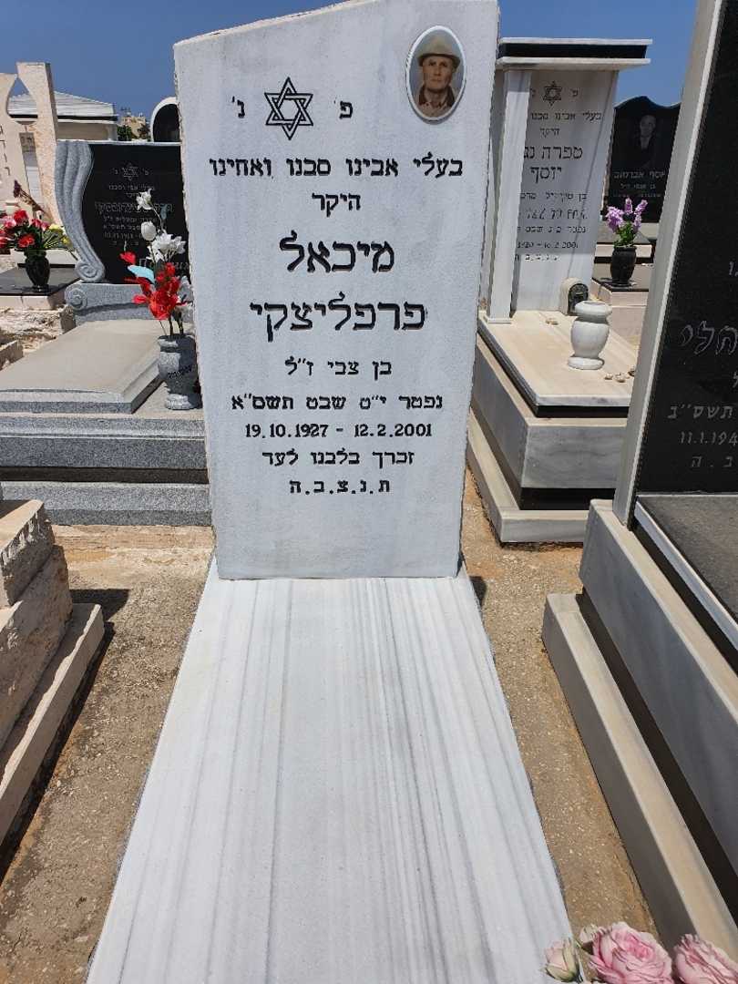 קברו של מיכאל פרפליצקי. תמונה 1