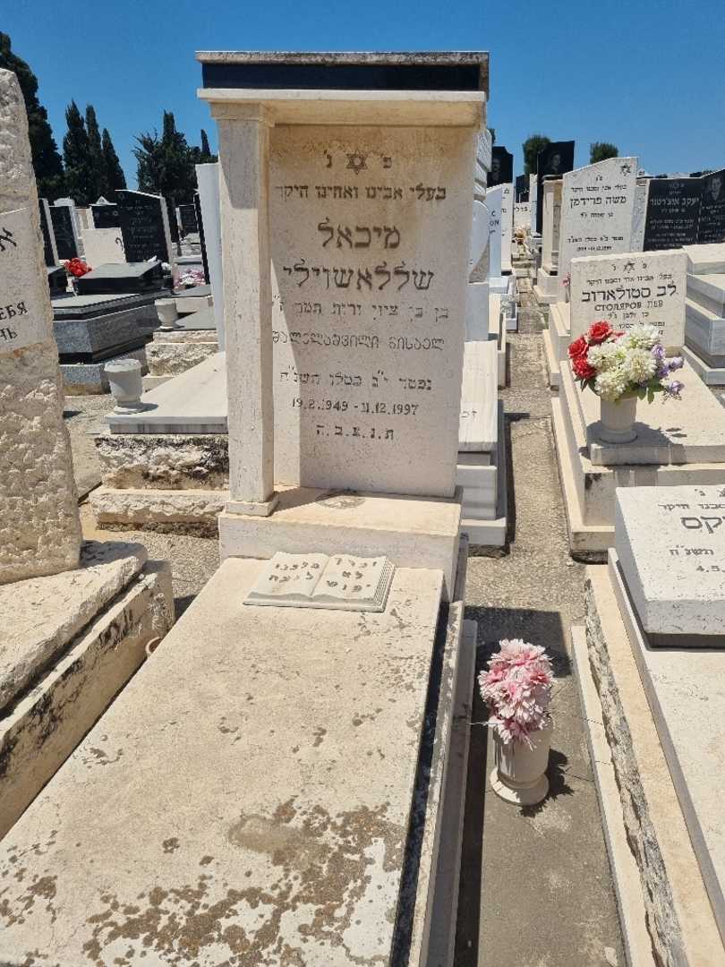 קברו של מיכאל שאללאשוילי. תמונה 1