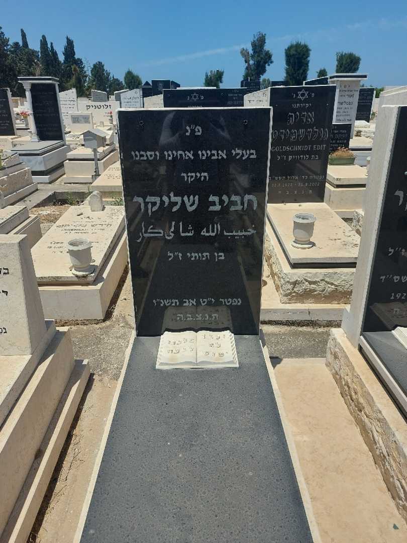 קברו של חביב שליקאר. תמונה 1