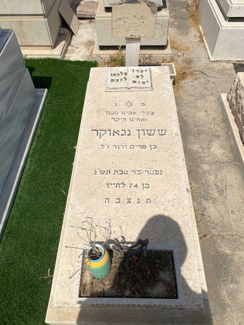 קברו של ששון נגאוקר. תמונה 1