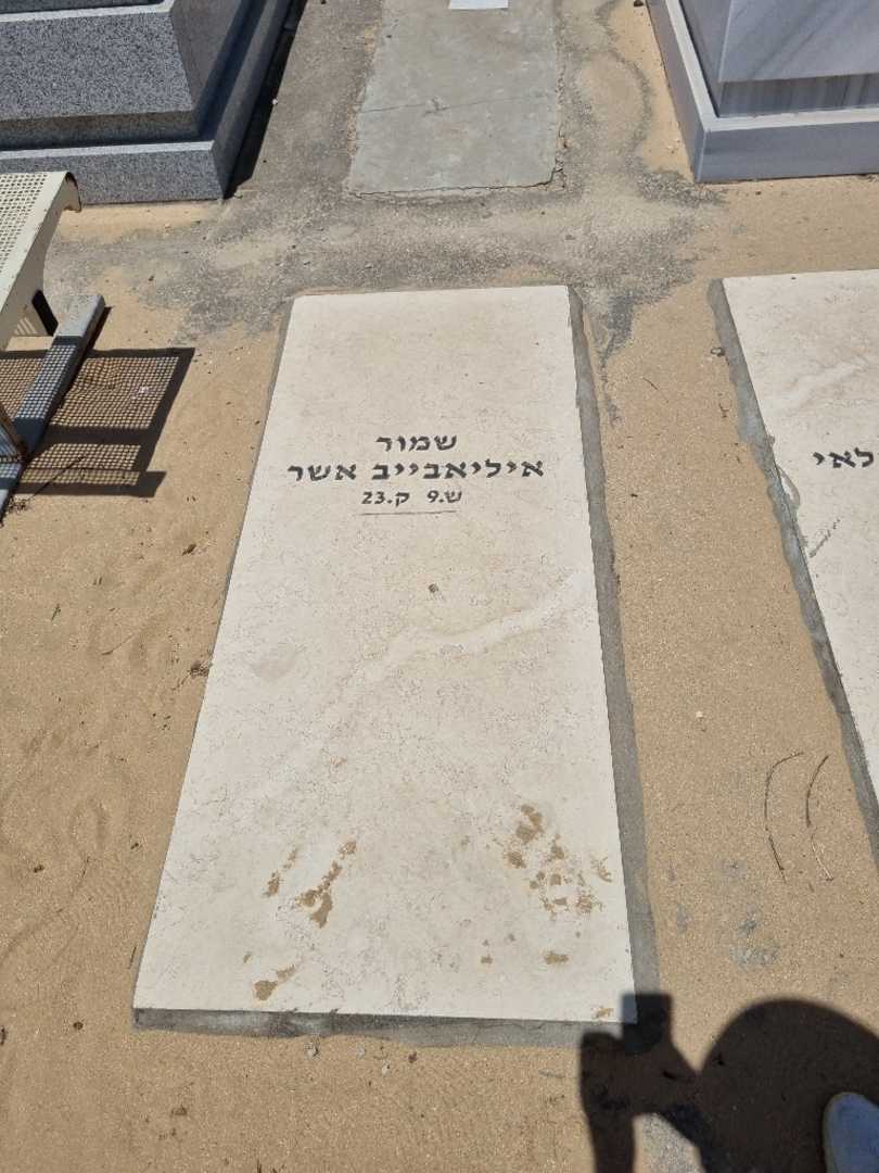 קברו של אשר איליאבייב. תמונה 1