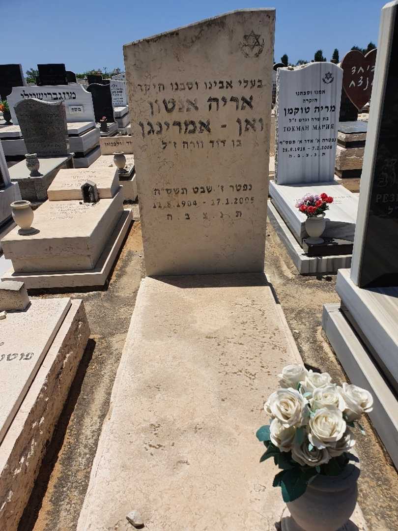 קברו של אריה אנטון ואן אמרינגן. תמונה 1