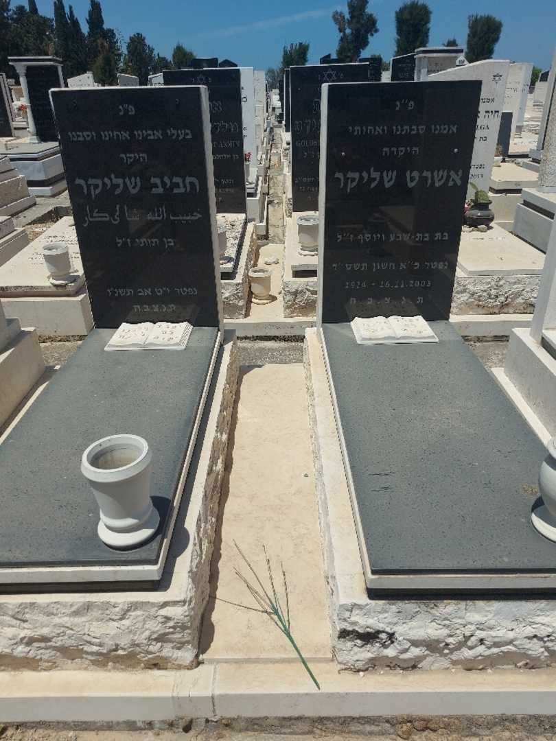 קברו של חביב שליקאר. תמונה 2