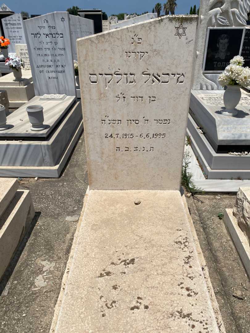 קברו של מיכאל גולקיס. תמונה 1