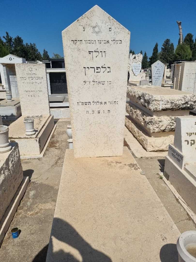 קברו של וולף גלפרין. תמונה 1