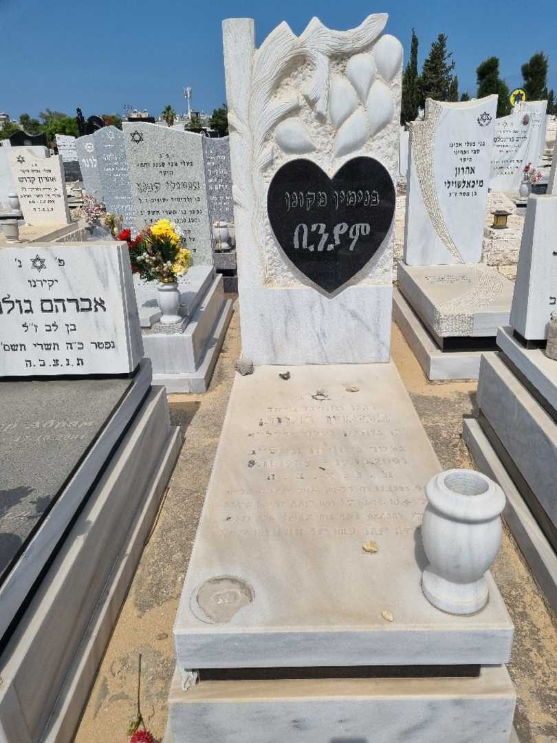 קברו של בנים מקונן. תמונה 1