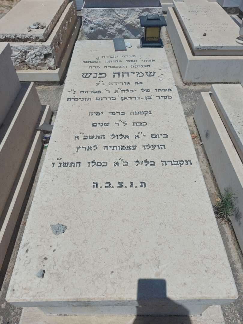קברו של שמיחה פנש. תמונה 1