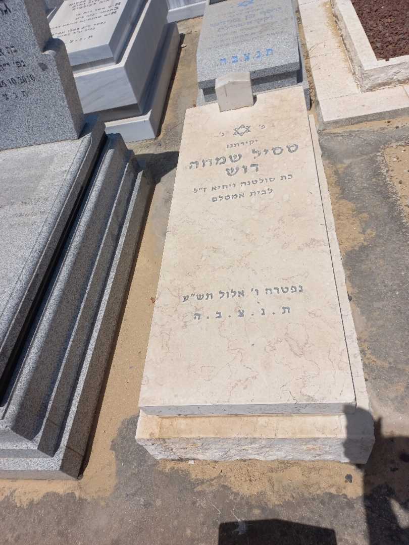 קברו של ססיל שמחה רוש. תמונה 1