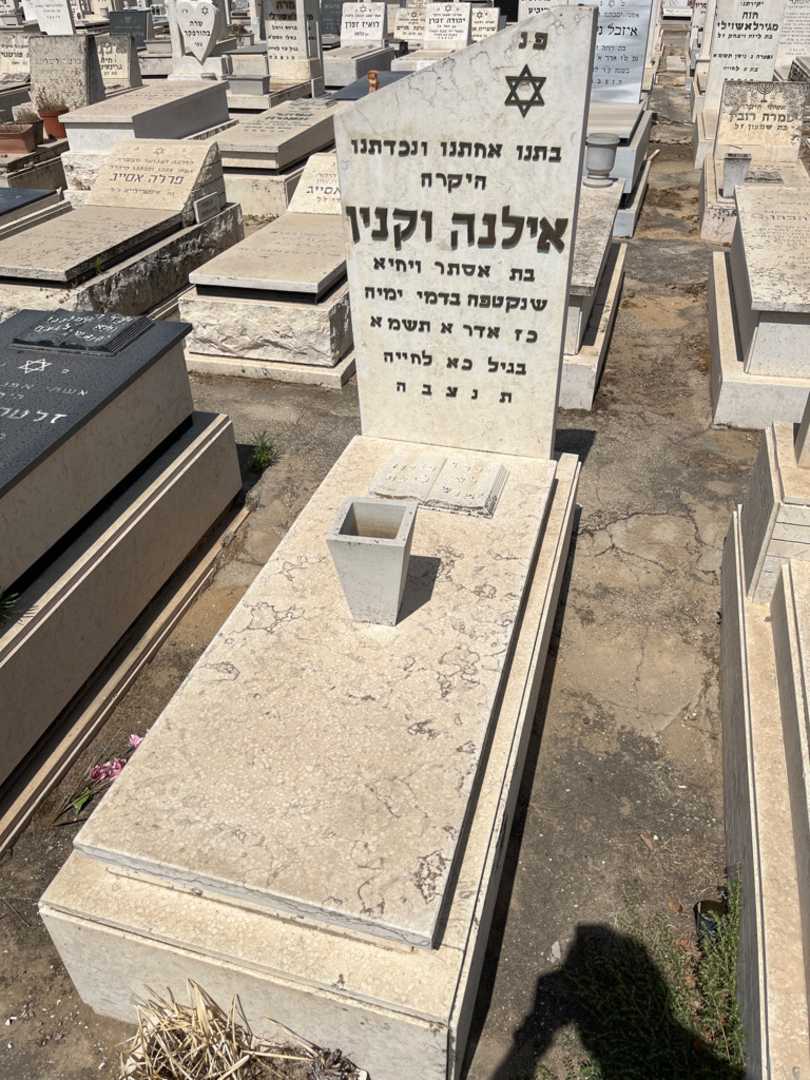 קברו של אילנה וקנין. תמונה 1