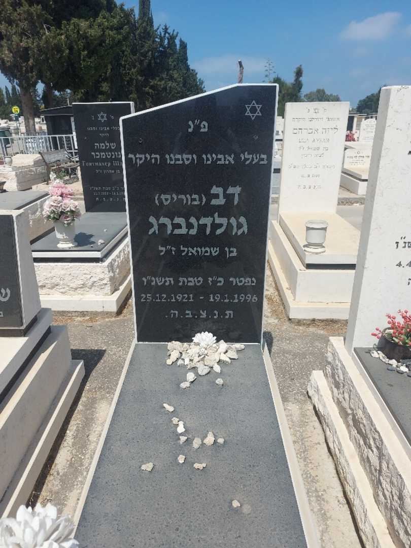 קברו של דב "בוריס" גולדנברג. תמונה 1