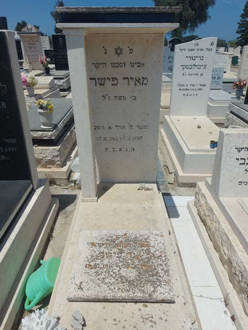קברו של מאיר פישר. תמונה 1