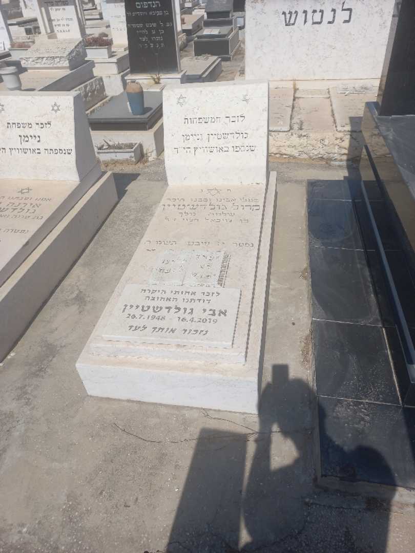 קברו של קרול גולדשטיין. תמונה 1