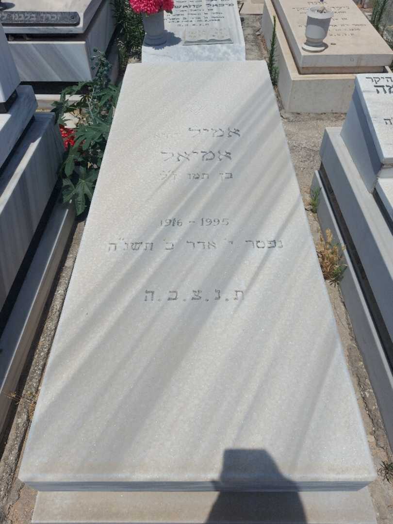 קברו של אמיל "יחיא" אמיאל. תמונה 1