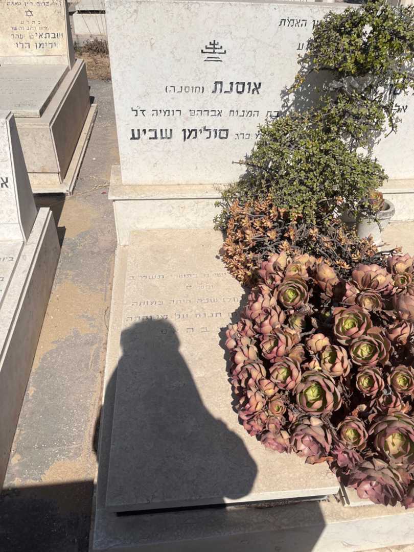 קברו של אוסנת סולימן שביע. תמונה 1