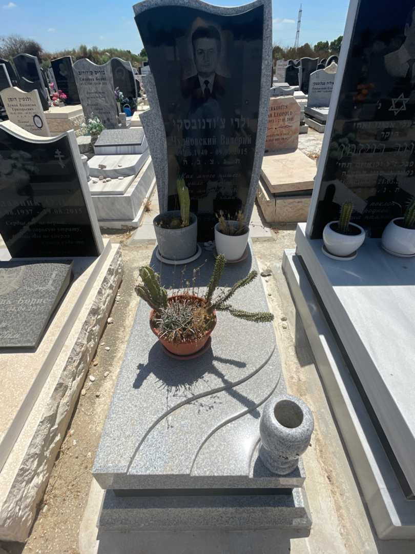 קברו של ולרי צ'ודנובסקי. תמונה 1
