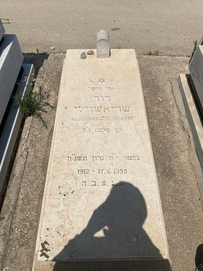 קברו של דוד שכיאשוילי. תמונה 1
