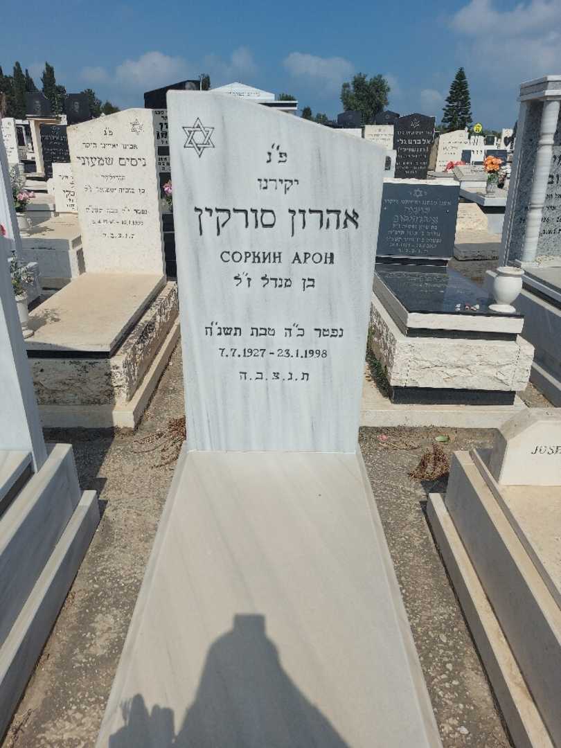 קברו של אהרון סורקין. תמונה 1