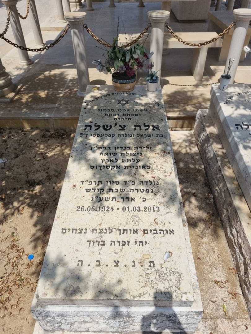 קברו של אלה צ'שלה. תמונה 1