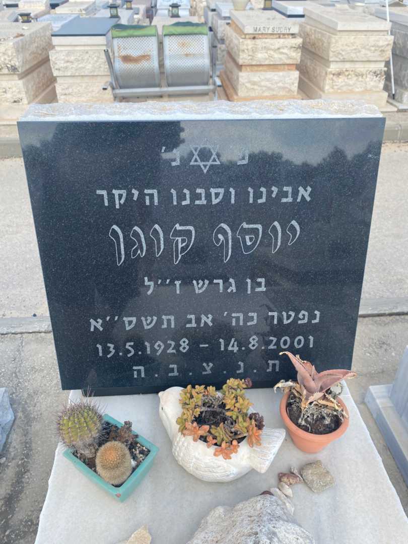 קברו של יוסף קוגן. תמונה 3