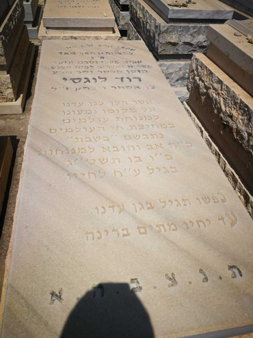 קברו של דוד לוגסי. תמונה 1