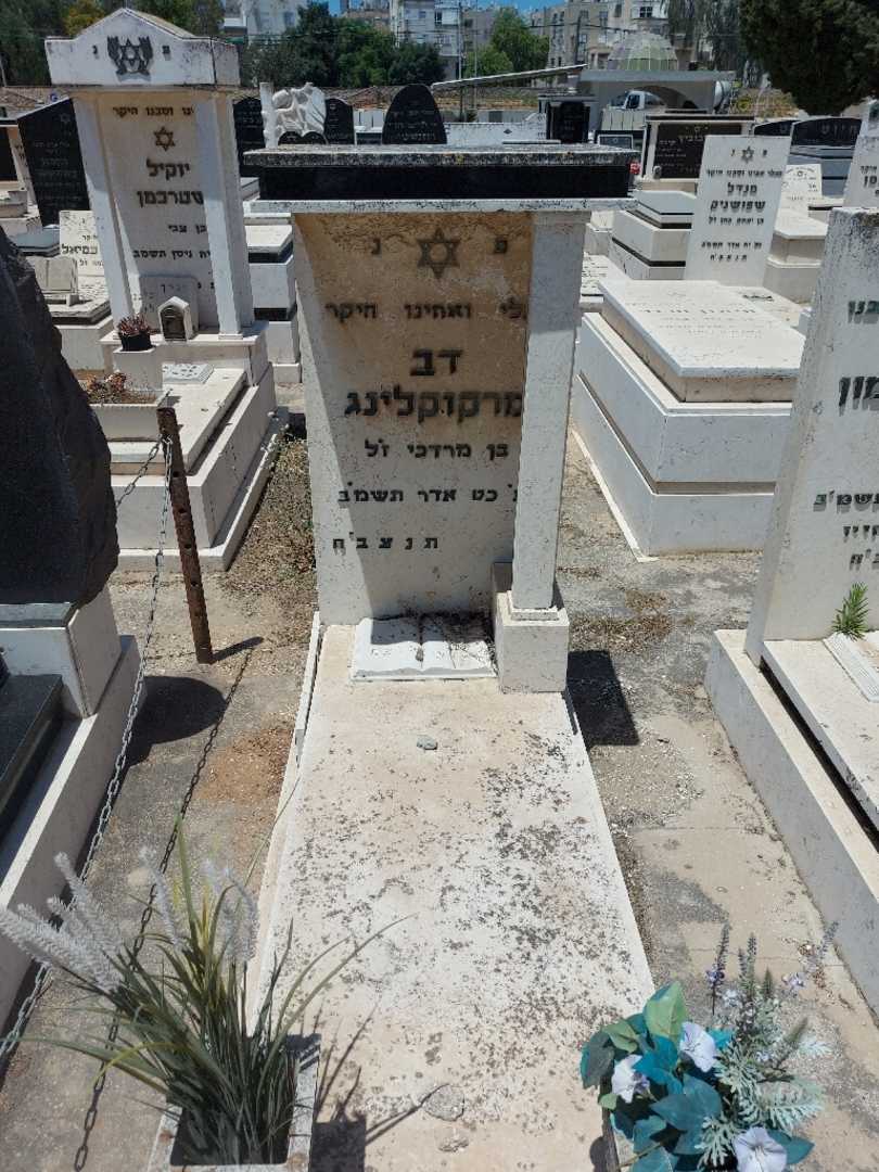 קברו של דב מרקוקלינג. תמונה 1