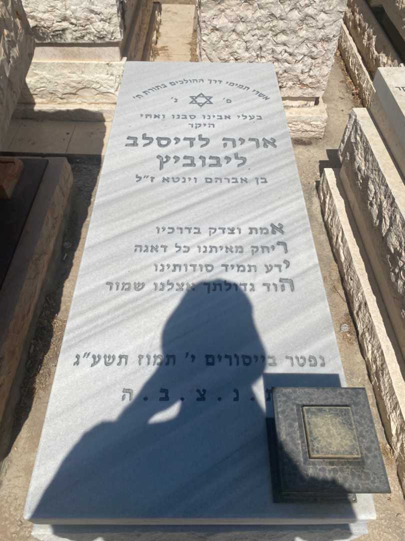 קברו של אריה לדיסלב ליבוביץ. תמונה 1