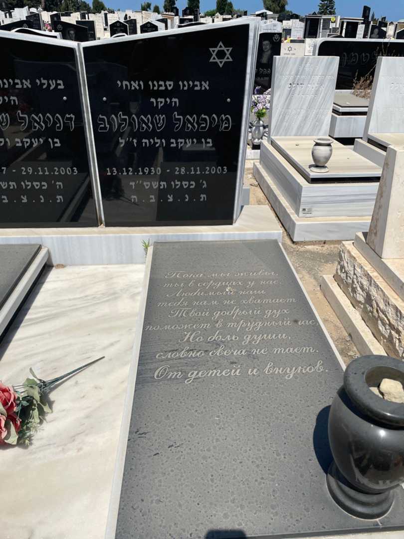 קברו של מיכאל שאולוב. תמונה 2