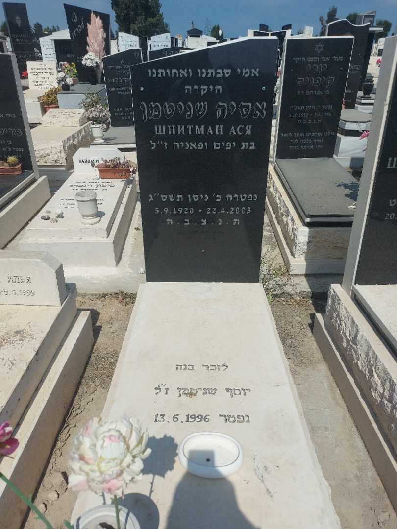 קברו של אסיה שניטמן. תמונה 1