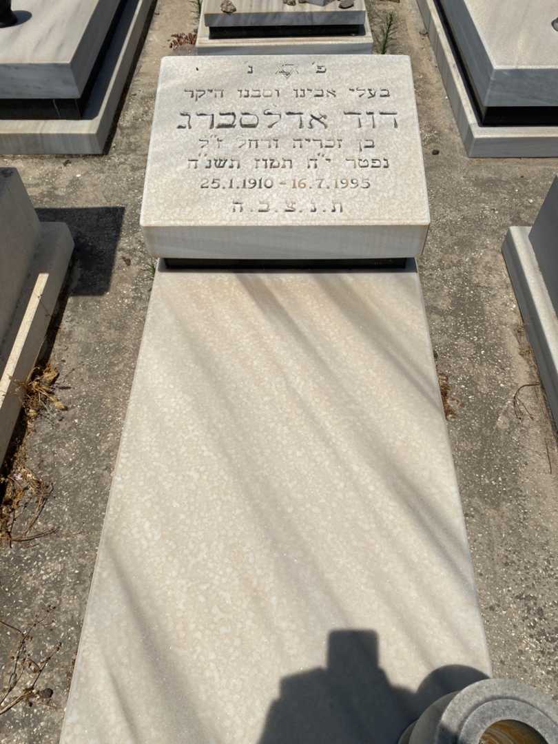 קברו של דוד אדלסברג. תמונה 1