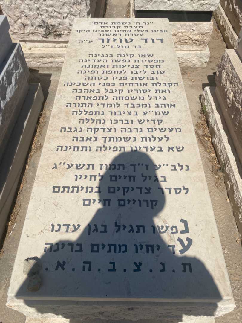 קברו של דוד טויזר. תמונה 1